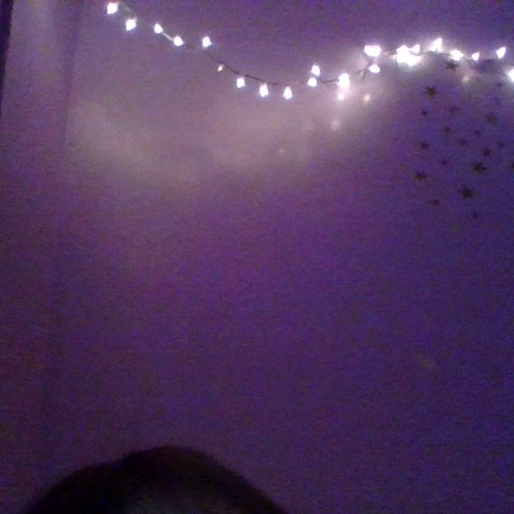 lights
